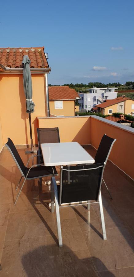 Apartmani Citrus Novigrad Filipac Exterior foto